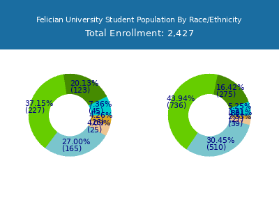 Felician University 2025 Student Population by Gender and Race chart