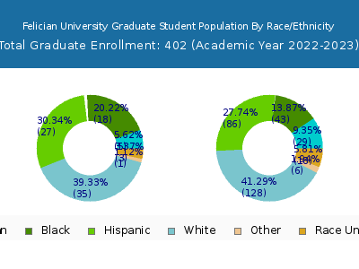 Felician University 2023 Graduate Enrollment by Gender and Race chart