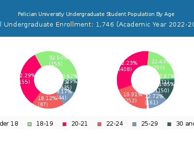 Felician University 2023 Undergraduate Enrollment Age Diversity Pie chart