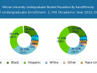 Felician University 2023 Undergraduate Enrollment by Gender and Race chart