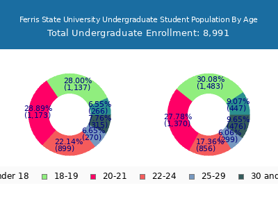 Ferris State University 2025 Undergraduate Enrollment Age Diversity Pie chart