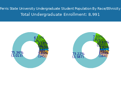 Ferris State University 2025 Undergraduate Enrollment by Gender and Race chart
