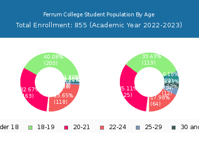 Ferrum College 2023 Student Population Age Diversity Pie chart