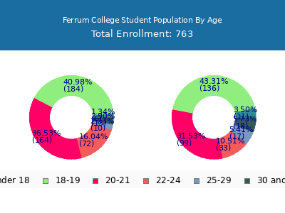 Ferrum College 2025 Student Population Age Diversity Pie chart