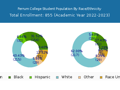 Ferrum College 2023 Student Population by Gender and Race chart