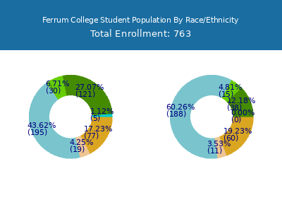Ferrum College 2025 Student Population by Gender and Race chart