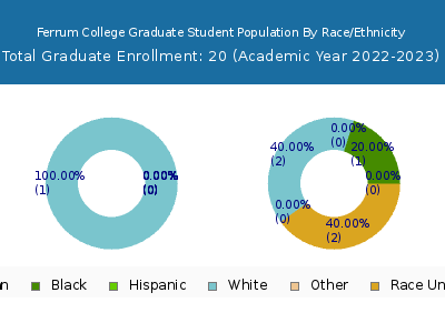 Ferrum College 2023 Graduate Enrollment by Gender and Race chart