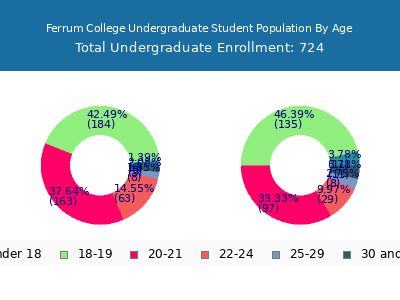 Ferrum College 2025 Undergraduate Enrollment Age Diversity Pie chart