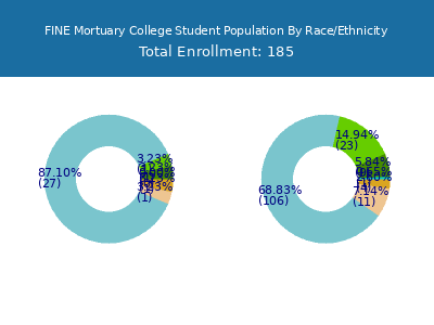 FINE Mortuary College 2025 Student Population by Gender and Race chart