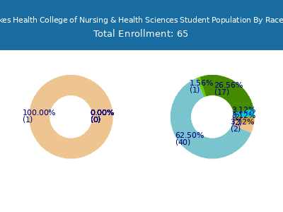 Finger Lakes Health College of Nursing & Health Sciences 2025 Student Population by Gender and Race chart