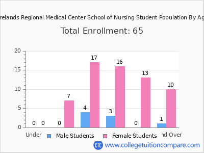 Firelands Regional Medical Center School of Nursing 2024 Student Population by Age chart
