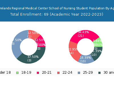Firelands Regional Medical Center School of Nursing 2023 Student Population Age Diversity Pie chart