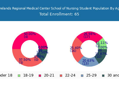 Firelands Regional Medical Center School of Nursing 2024 Student Population Age Diversity Pie chart