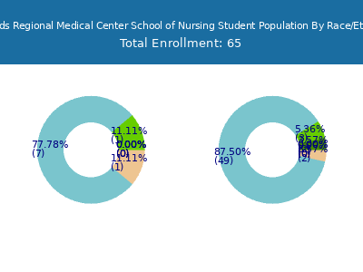 Firelands Regional Medical Center School of Nursing 2025 Student Population by Gender and Race chart