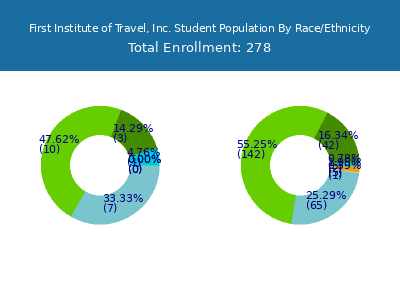 First Institute of Travel, Inc. 2025 Student Population by Gender and Race chart