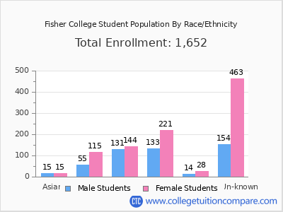 Fisher College 2025 Student Population by Gender and Race chart