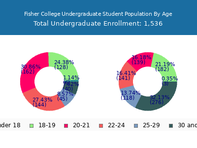 Fisher College 2024 Undergraduate Enrollment Age Diversity Pie chart