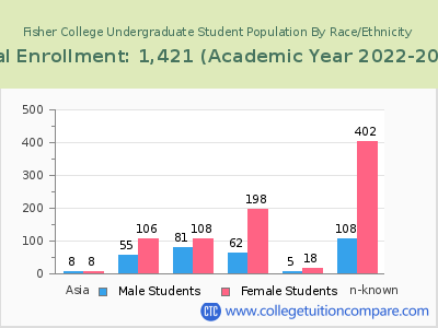 Fisher College 2023 Undergraduate Enrollment by Gender and Race chart