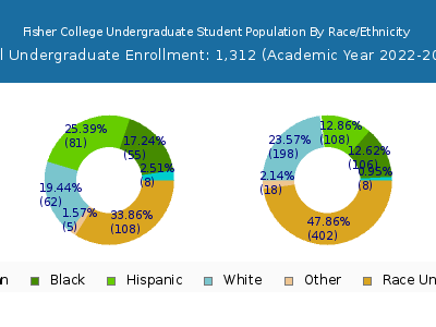 Fisher College 2023 Undergraduate Enrollment by Gender and Race chart