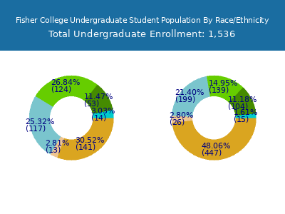 Fisher College 2025 Undergraduate Enrollment by Gender and Race chart