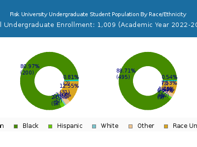 Fisk University 2023 Undergraduate Enrollment by Gender and Race chart