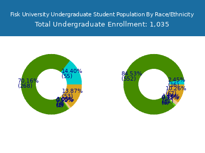 Fisk University 2025 Undergraduate Enrollment by Gender and Race chart