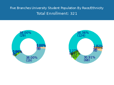 Five Branches University 2025 Student Population by Gender and Race chart