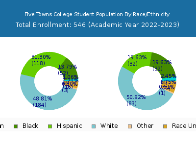 Five Towns College 2023 Student Population by Gender and Race chart