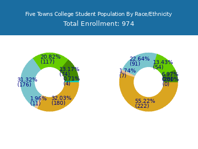 Five Towns College 2025 Student Population by Gender and Race chart