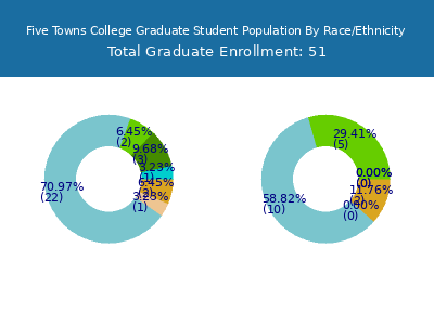 Five Towns College 2025 Graduate Enrollment by Gender and Race chart