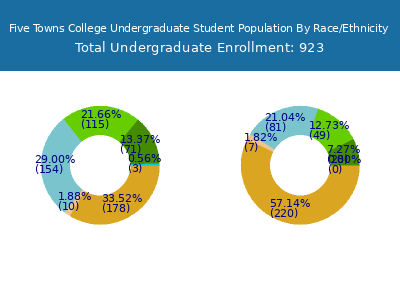 Five Towns College 2025 Undergraduate Enrollment by Gender and Race chart