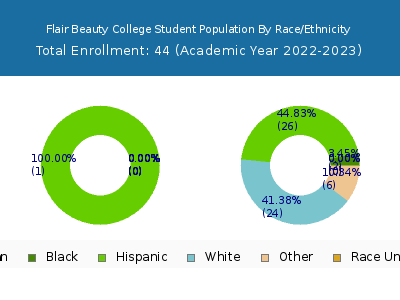 Flair Beauty College 2023 Student Population by Gender and Race chart