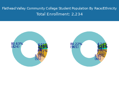 Flathead Valley Community College 2025 Student Population by Gender and Race chart