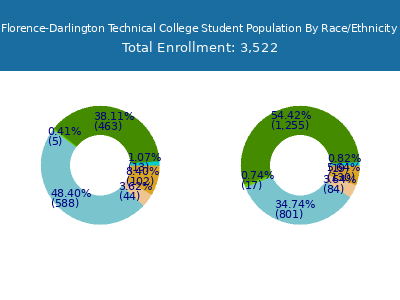 Florence-Darlington Technical College 2025 Student Population by Gender and Race chart