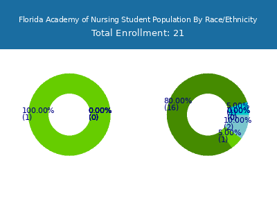 Florida Academy of Nursing 2025 Student Population by Gender and Race chart