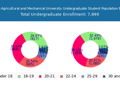 Florida Agricultural and Mechanical University 2025 Undergraduate Enrollment Age Diversity Pie chart