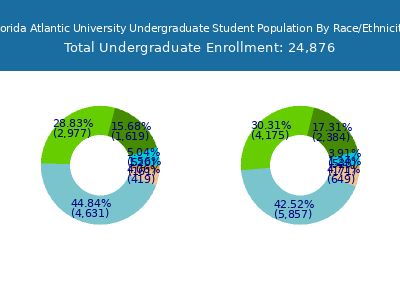 Florida Atlantic University 2025 Undergraduate Enrollment by Gender and Race chart