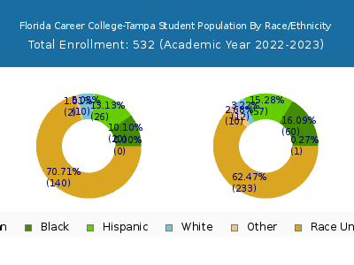 Florida Career College-Tampa 2023 Student Population by Gender and Race chart