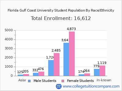 Florida Gulf Coast University 2025 Student Population by Gender and Race chart
