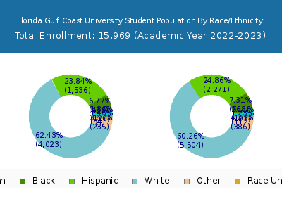 Florida Gulf Coast University 2023 Student Population by Gender and Race chart