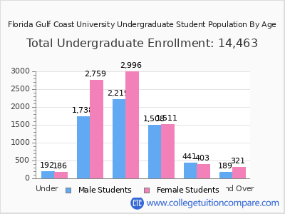 Florida Gulf Coast University 2025 Undergraduate Enrollment by Age chart