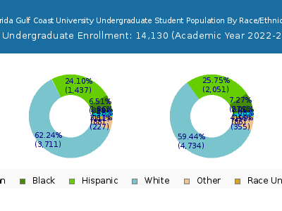 Florida Gulf Coast University 2023 Undergraduate Enrollment by Gender and Race chart