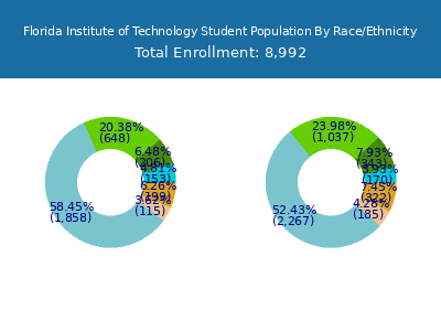 Florida Institute of Technology 2025 Student Population by Gender and Race chart