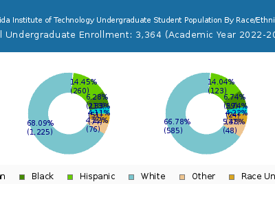 Florida Institute of Technology 2023 Undergraduate Enrollment by Gender and Race chart