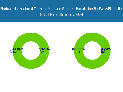 Florida International Training Institute 2025 Student Population by Gender and Race chart