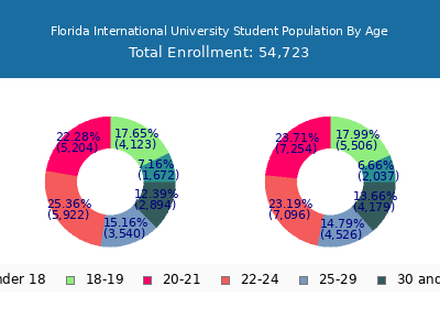 Florida International University Student Population visual data 3