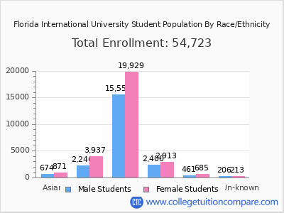 Florida International University Student Population visual data 4