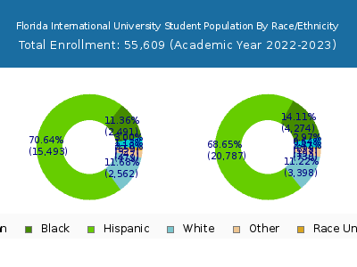 Florida International University 2023 Student Population by Gender and Race chart