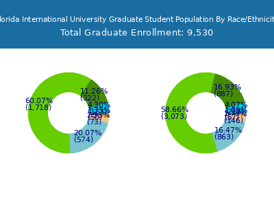 Florida International University Student Population visual data 2