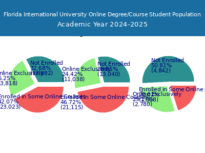 Florida International University Student Population visual data 8